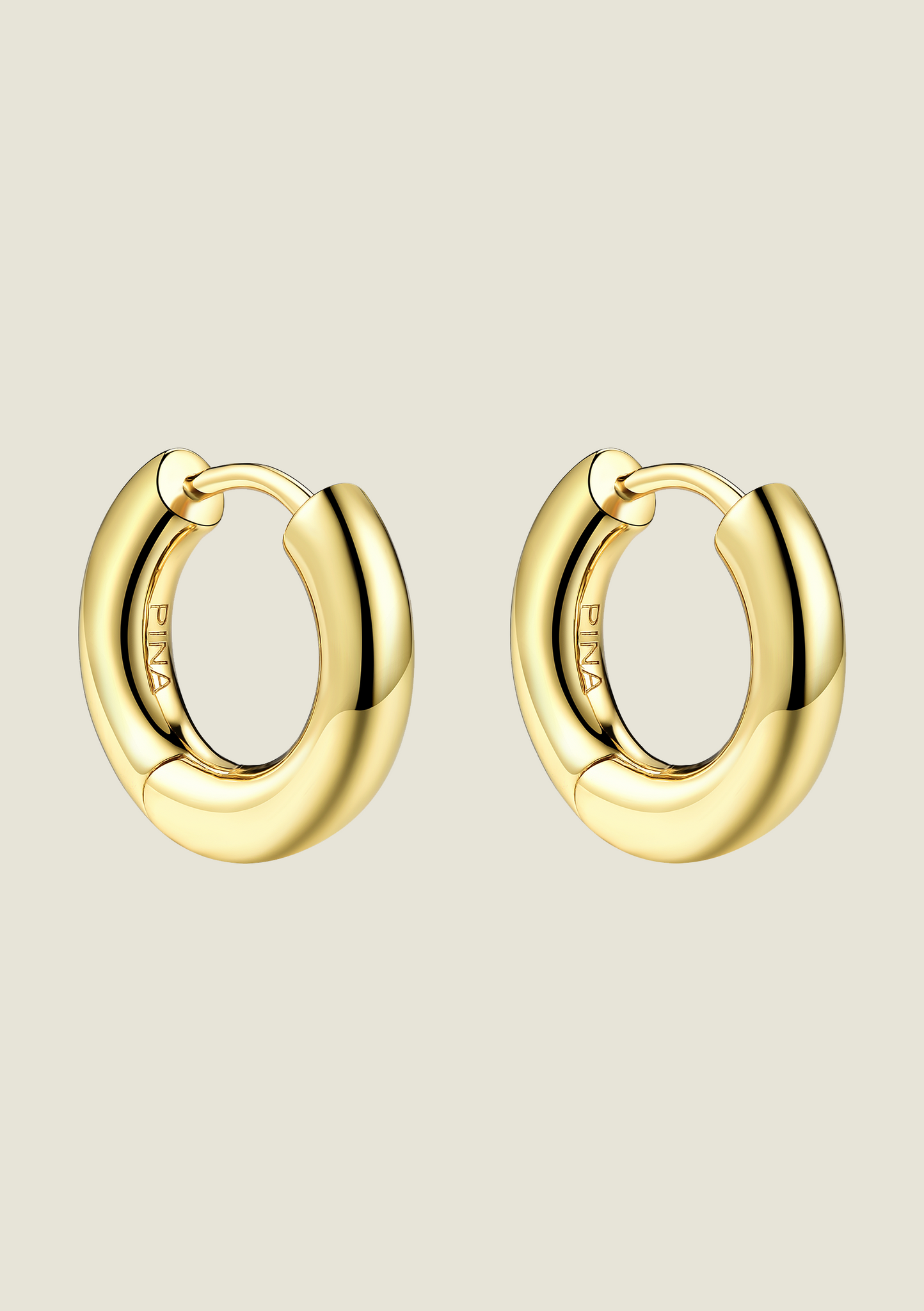 Gold Hoops (+1 set of daisies)